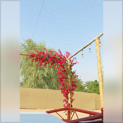 Artificial bougainvillea garland for home