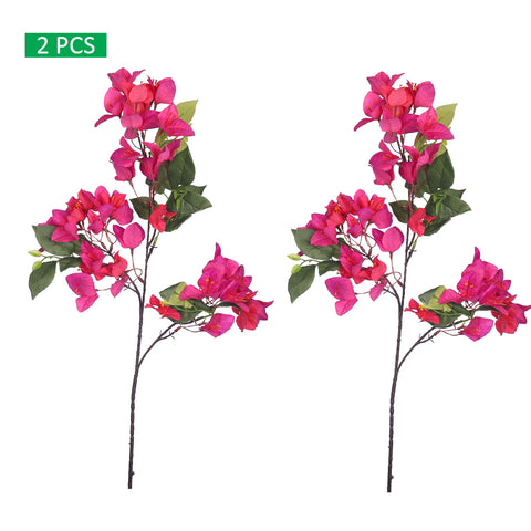 Bougainvillea Stems for DIY Crafts