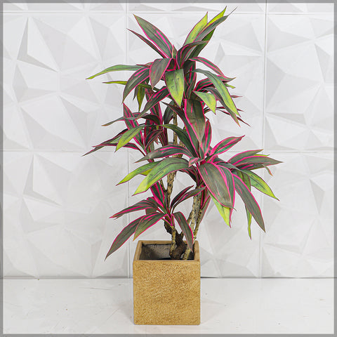 Decorative brown concrete square planter