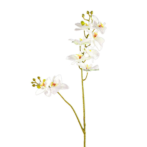 artificial butterfly orchid stem