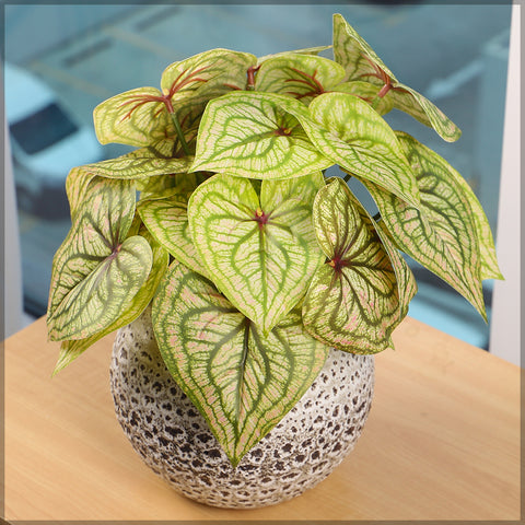 Singe Bunch Fake Caladium Plant Leaves(without vase)