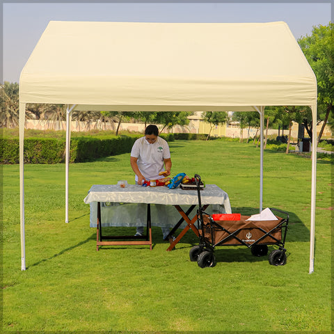 Carport Design Canopy Tent (Tent Only)