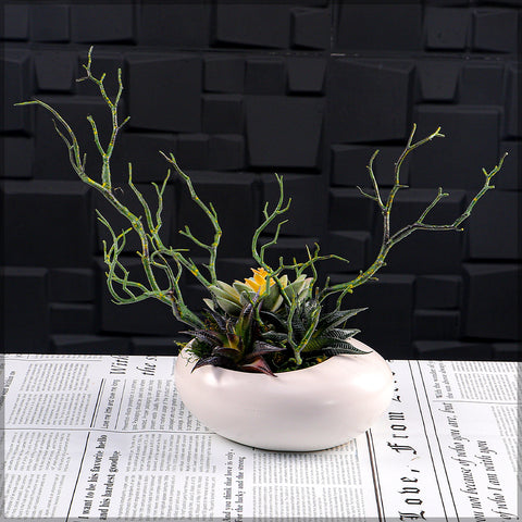 Ceramic indoor pot