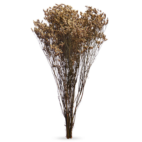 Dried Crystal Grass