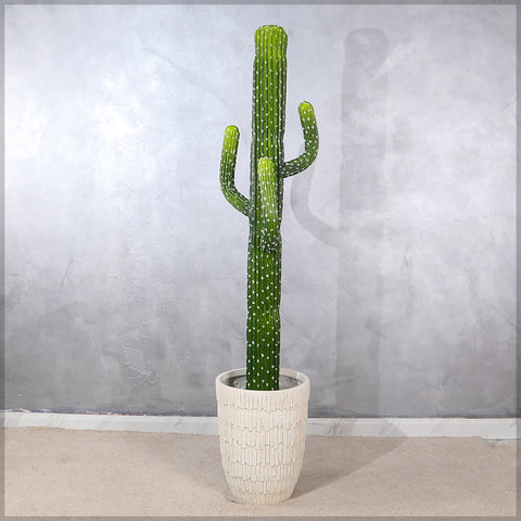 Faux Desert Cacti Plant(with black nursery pot)