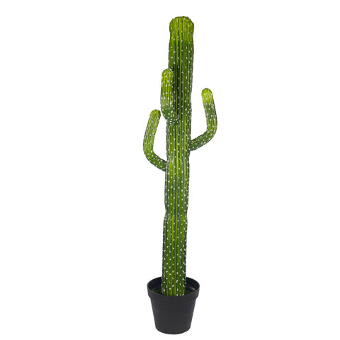 Faux Desert Cacti Plant(with black nursery pot)