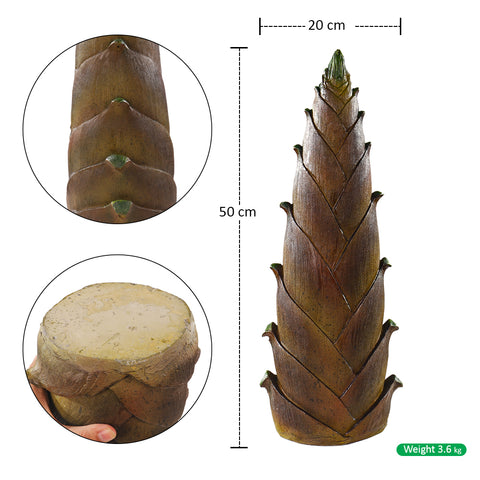 Bamboo shoot decoration