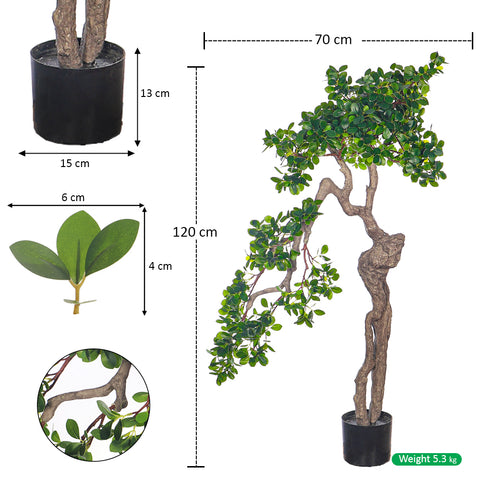 Bonsai plant decor