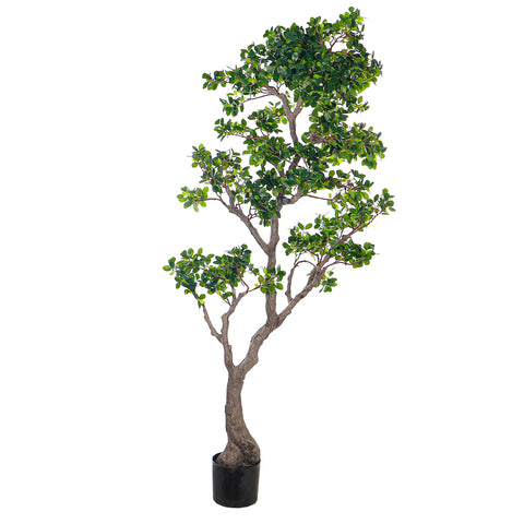 Decorative bonsai tree