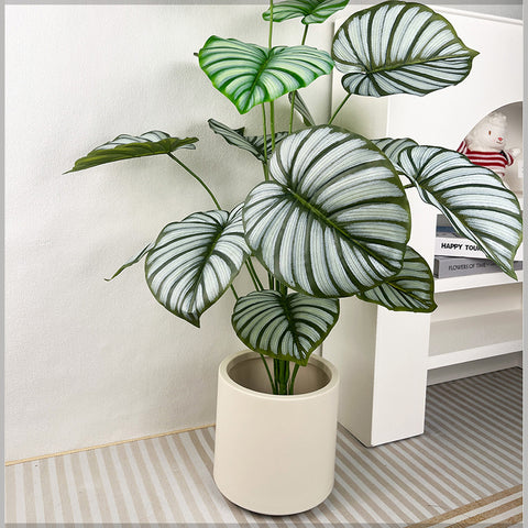 Plastic Planter Pots for Plants