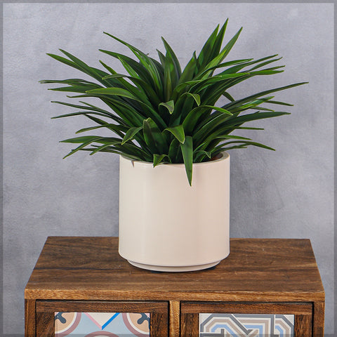 Plastic Planter Pots for Plants
