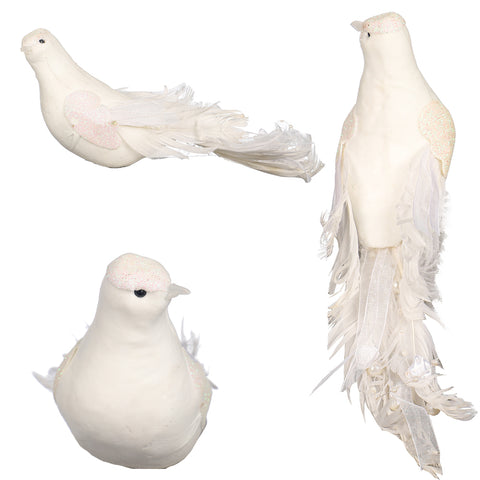 White birds