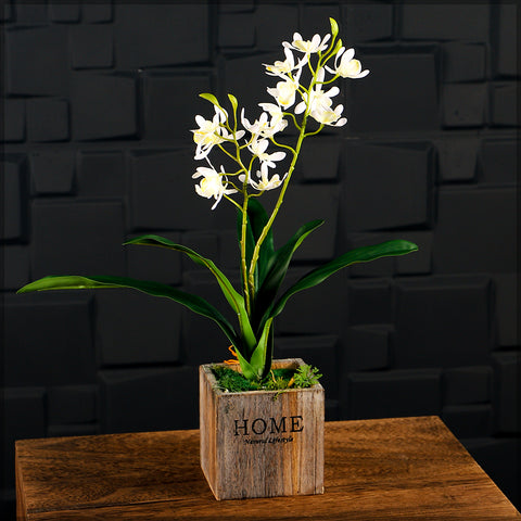 Faux Orchid Plant