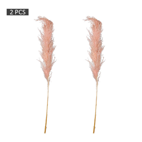 2-Packs Natural Dried Pampas Grass(without vase)