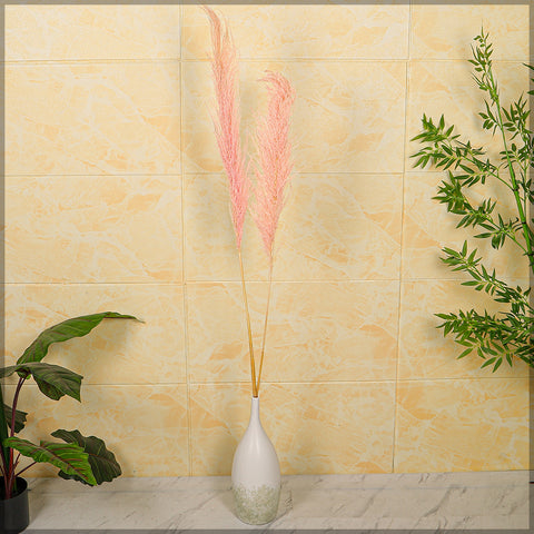 2-Packs Natural Dried Pampas Grass(without vase)