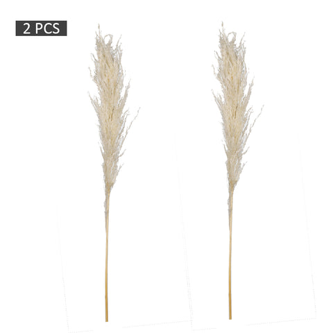 2-Packs Natural Dried Pampas Grass(without vase)