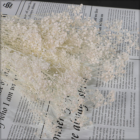 Preserved Baby’s Breath Flowers