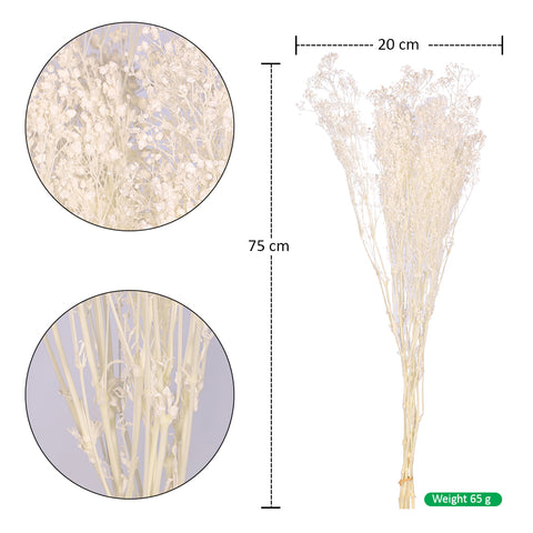 Long-lasting Preserved Flowers