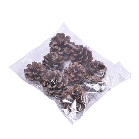 natural rustic pine cones brown