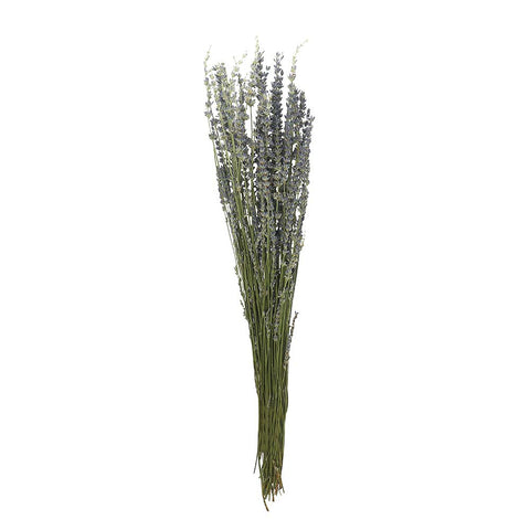 Dried Lavender Flowers(without vase)