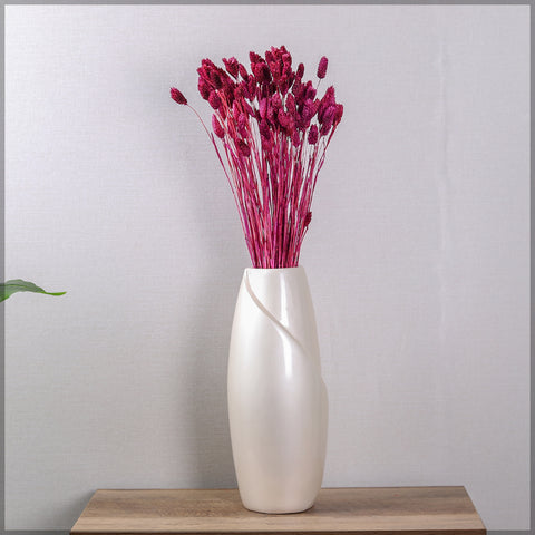 Dried Phalaris Grass(without vase)