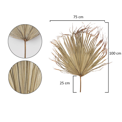 palm fronds