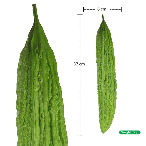 Decorative Small Size Bitter Gourd