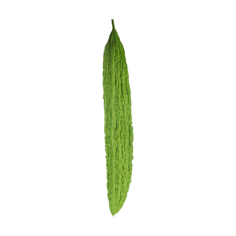 Decorative Small Size Bitter Gourd