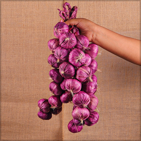 Decorative garlic UAE