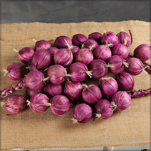 Rustic onion decor