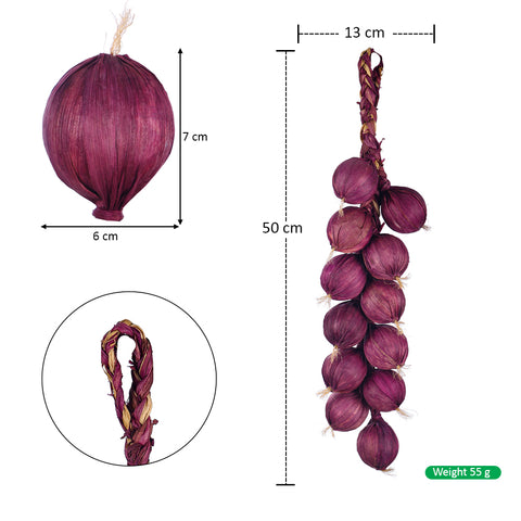 Onion wall decor