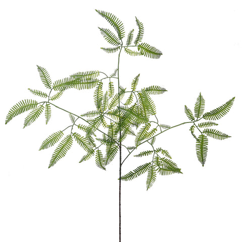 Decorative staghorn fern leaves for tropical interior design