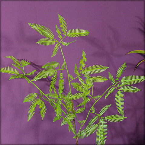 Artificial False Staghorn Fern Leaves