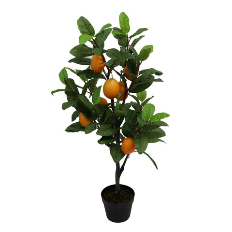 Lemon plant for home decor
