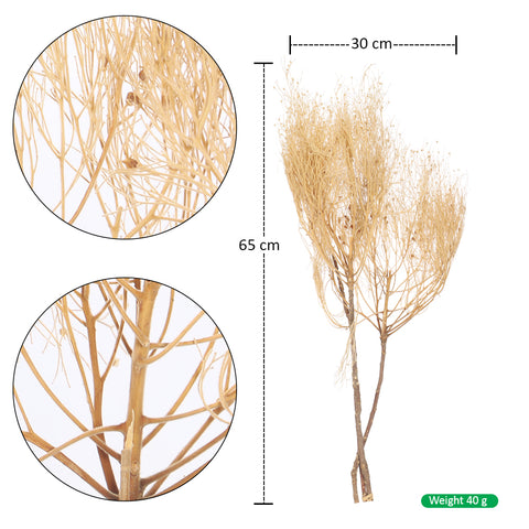 Dried grass flowers