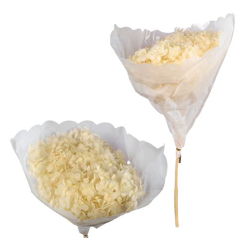Preserved Dried Hydrangea Flower(without vase)