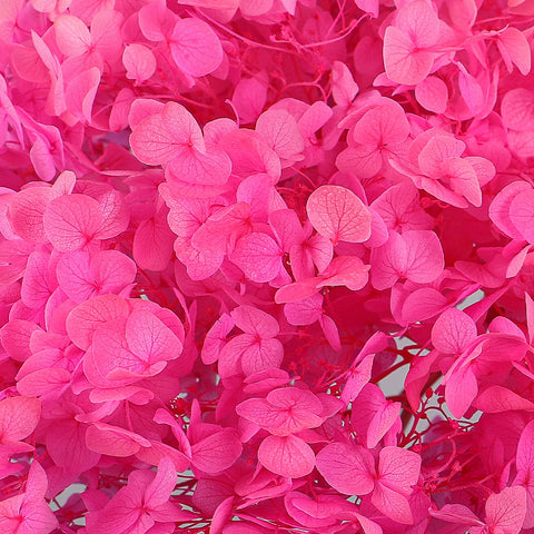 Dried hydrangea arrangements