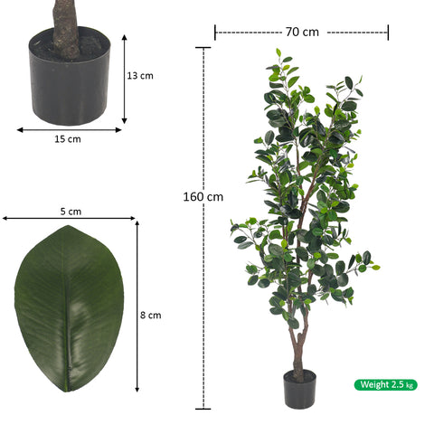 fake ficus plant