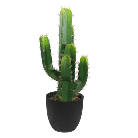 Nearly Natural Decorative Finger Cactus Plant