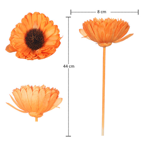 realistic daisy foam flower