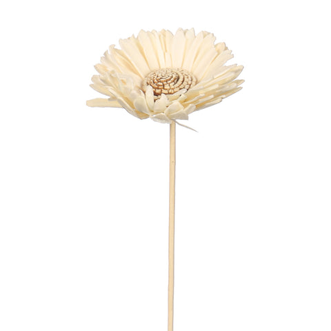 faux daisy floral display