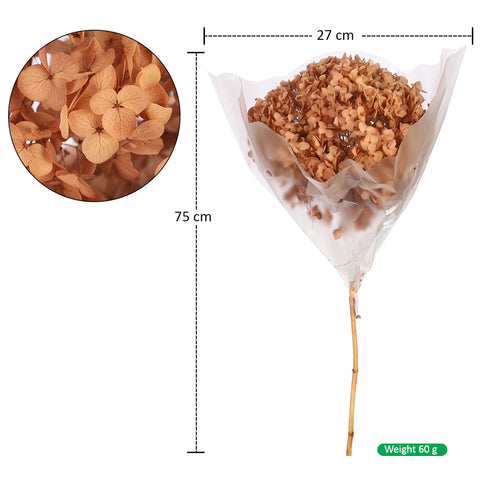 Dried Hydrangeas Wholesale
