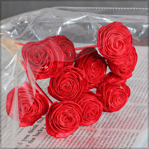 rose flowers
