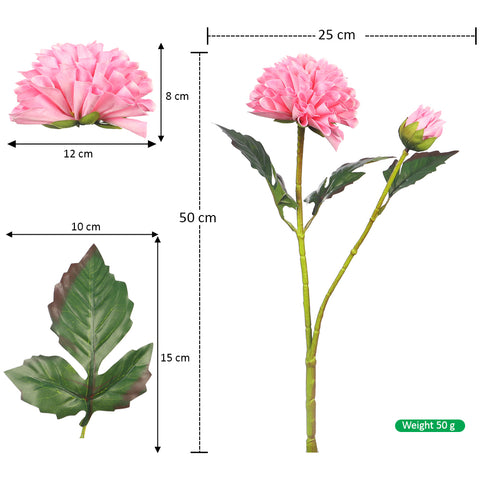 Dahlia flower for bouquet