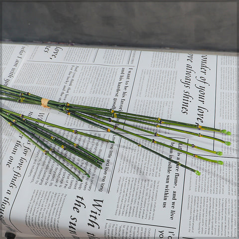 Faux bamboo sticks