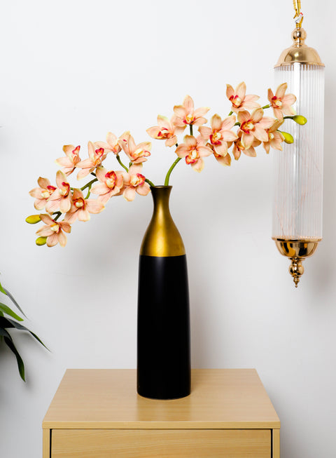 Cymbidium flowers