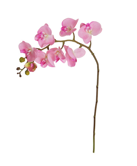 Nearly Natural Orchid Flower Stems