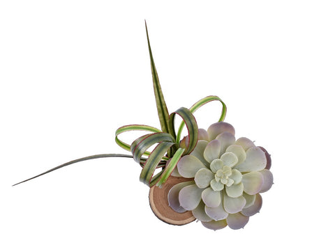 Fake Gray Succulent Plant