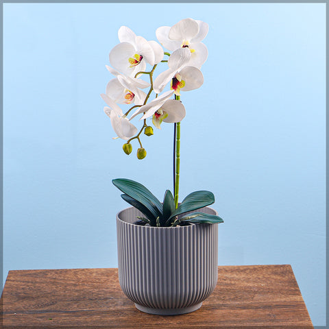 Round plastic planter pots