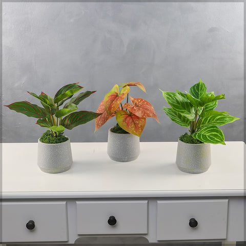 Realistic Artificial Evergreen Mini Plant